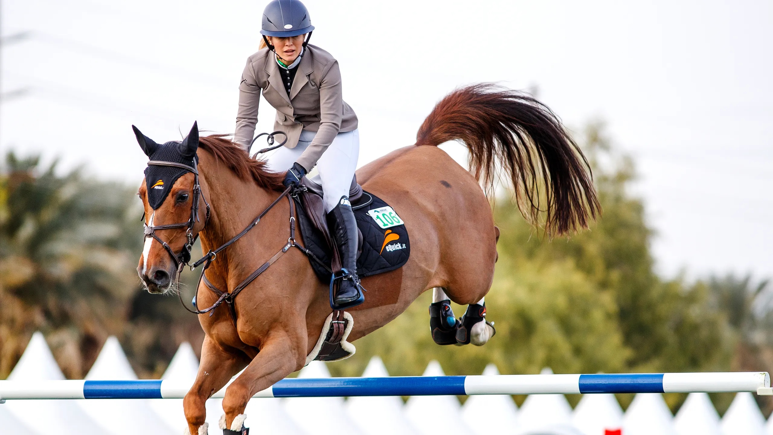 show jump.jpg (1.04 MB)